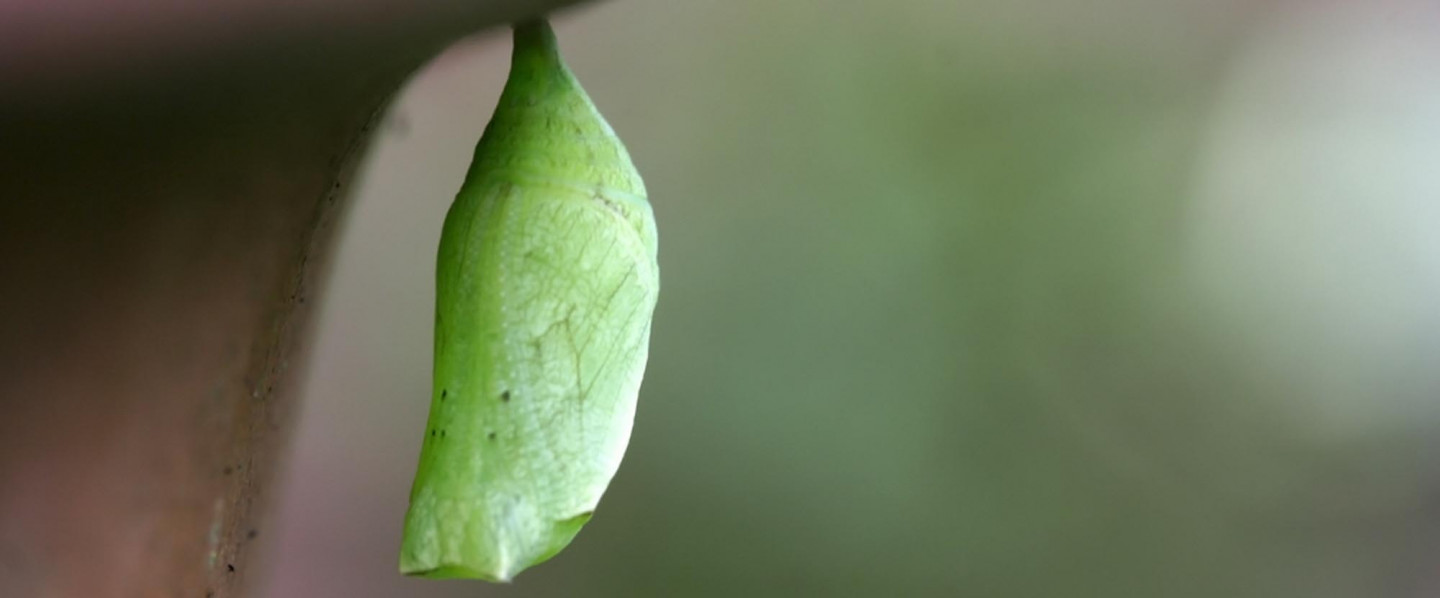 Counseling Services in Murrieta, CA